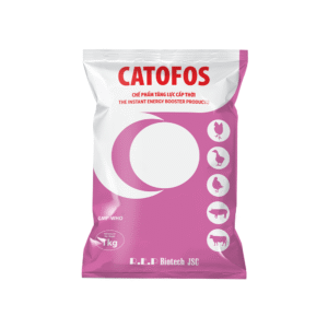 Trang chủ 23 CATOFOS