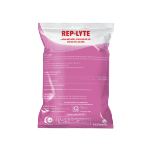 REP LYTE MS 1 KG Hinh Anh San Pham 1